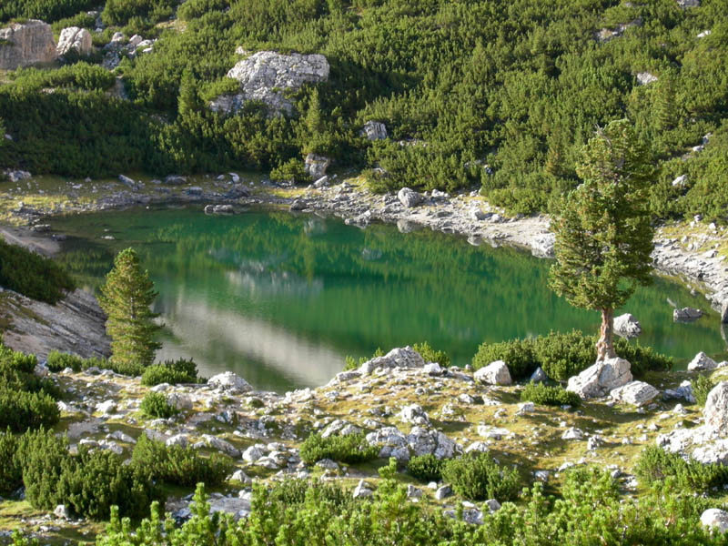 Laghi.....dell''ALTO ADIGE